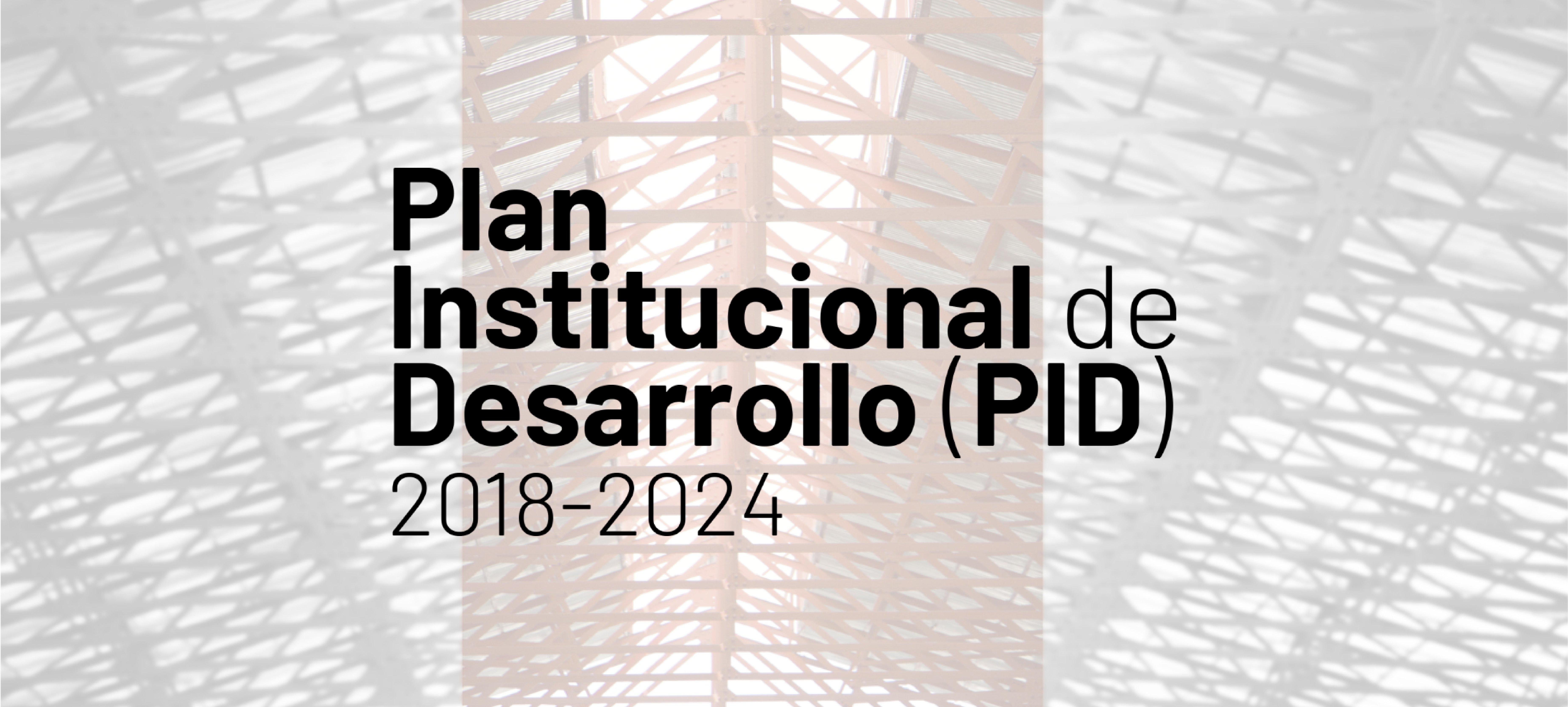 PLAN INSTITUCIONAL DE DESARROLLO